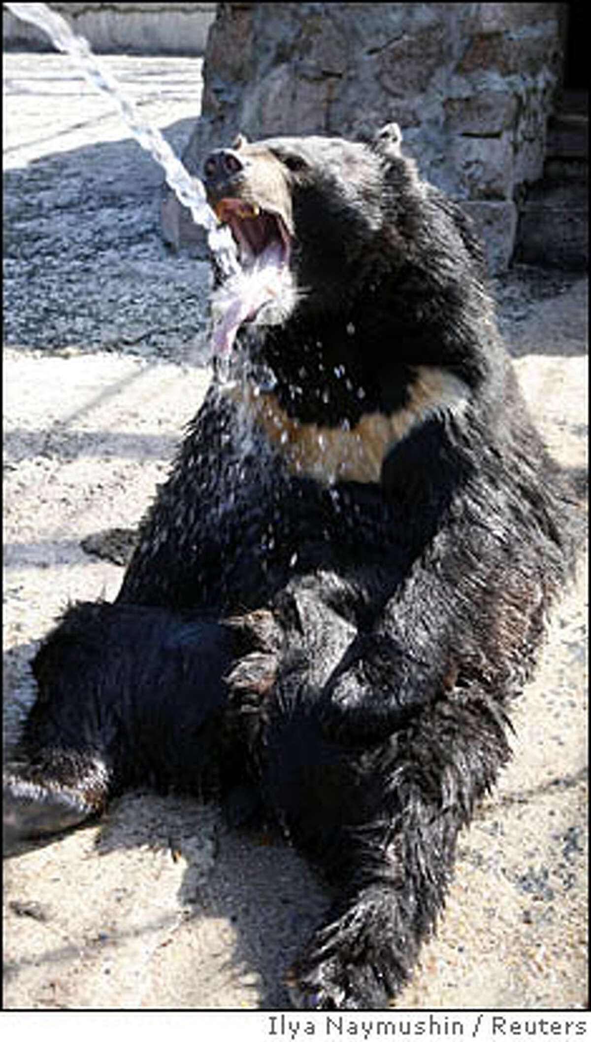 SFGate Day in Pictures