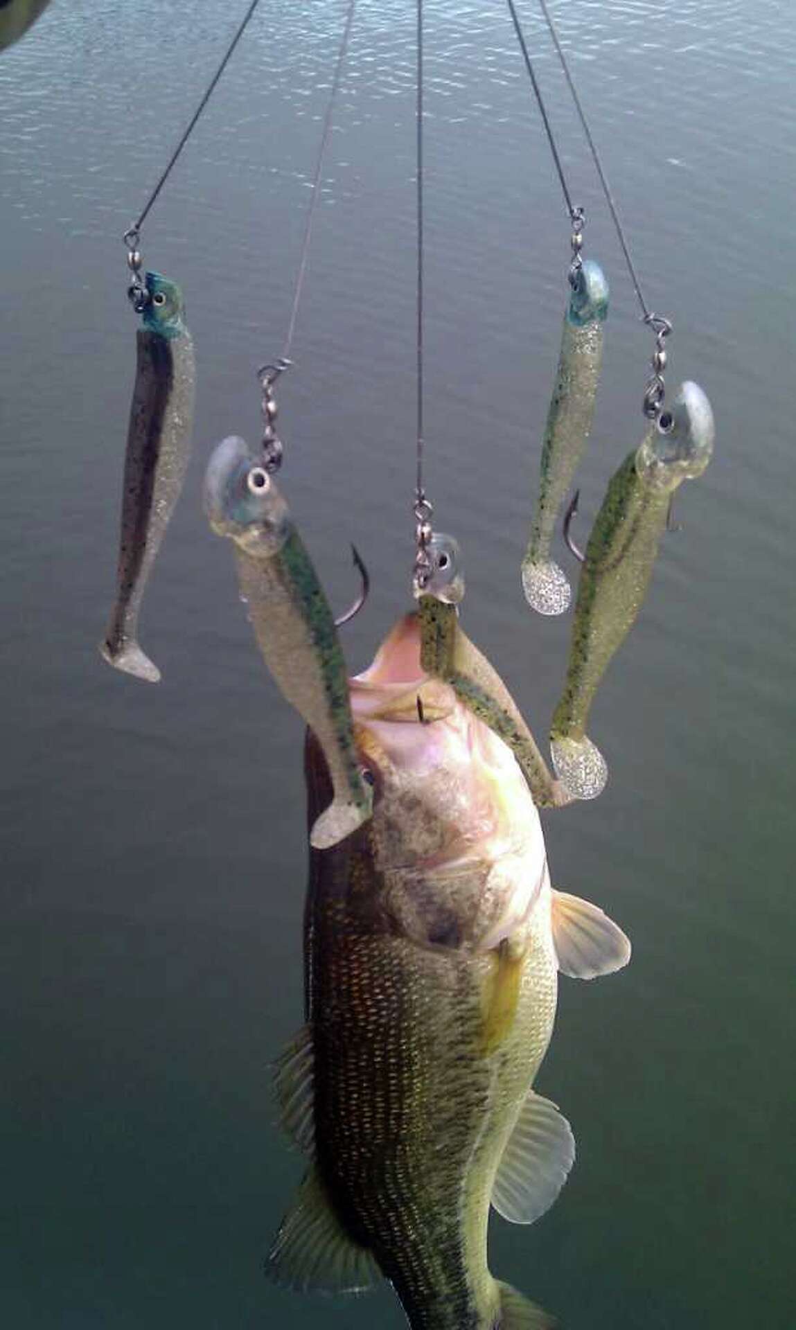 Mann's Alabama Rig Fishing Lure