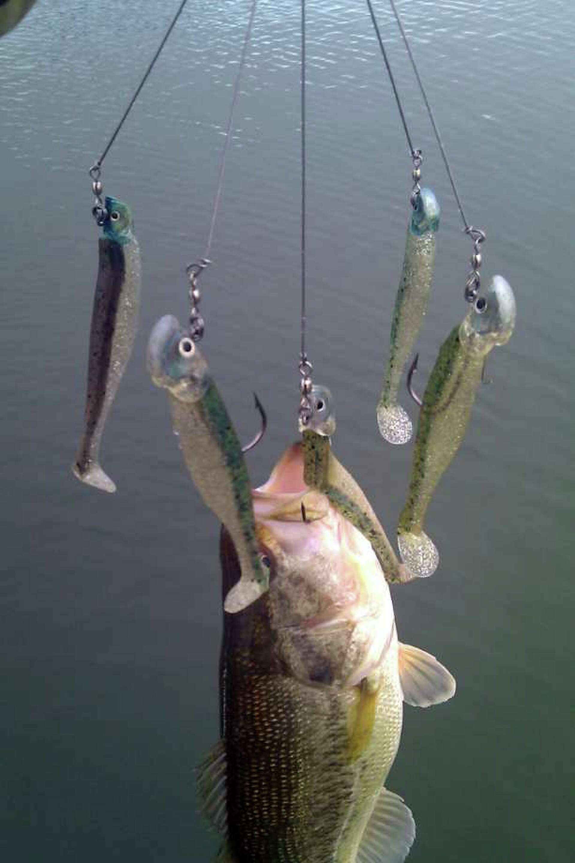 Outdoors: Alabama rig lure catches on with bass pros Outdoors: Alabama rig lure catches on with bass pros