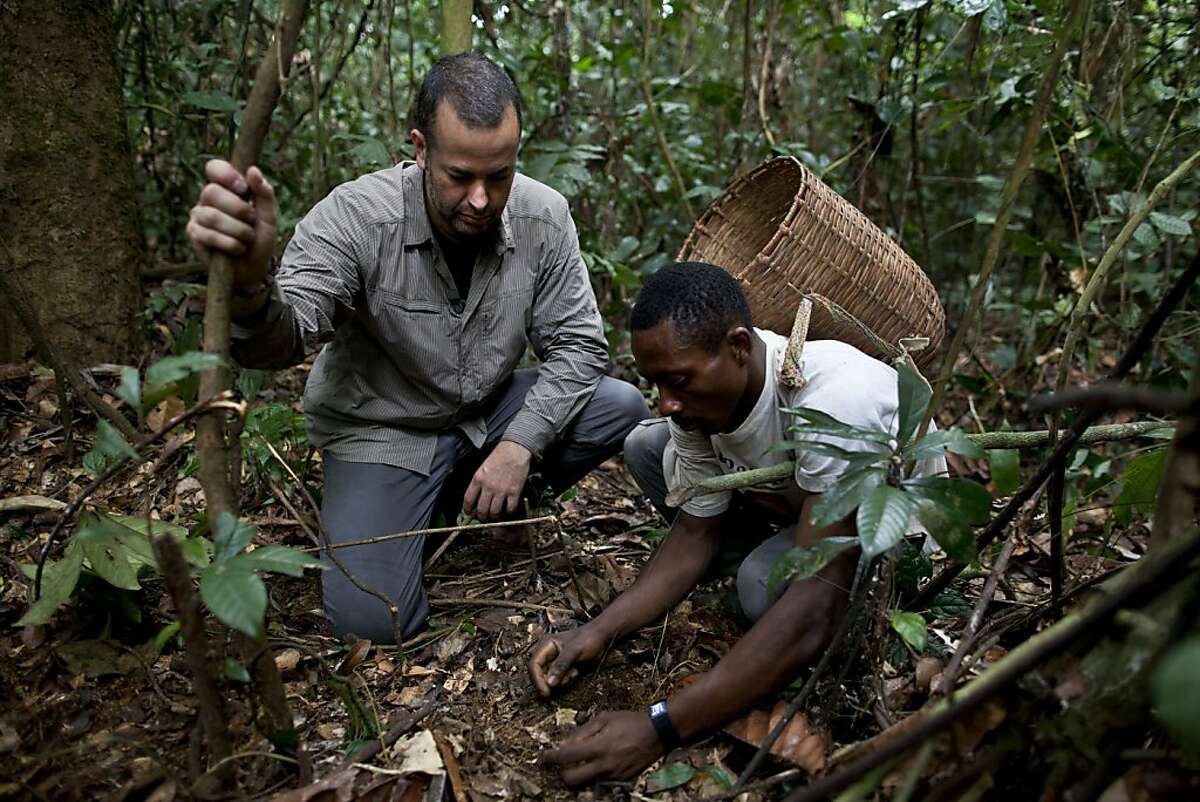 Nathan Wolfe watches a bushmeat hunter set a trap in Southern Cameroon