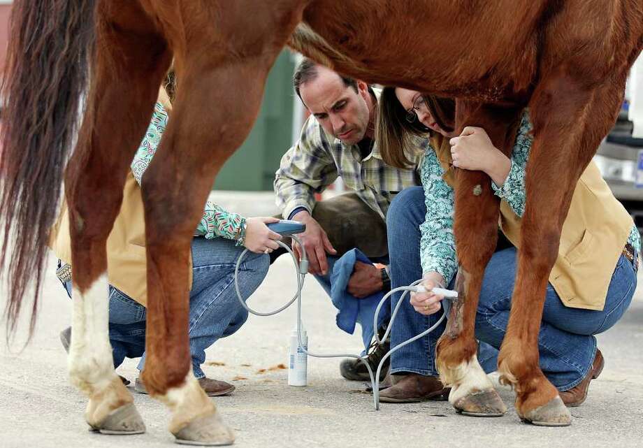 Daily drama of the rodeo vet - San Antonio Express-News