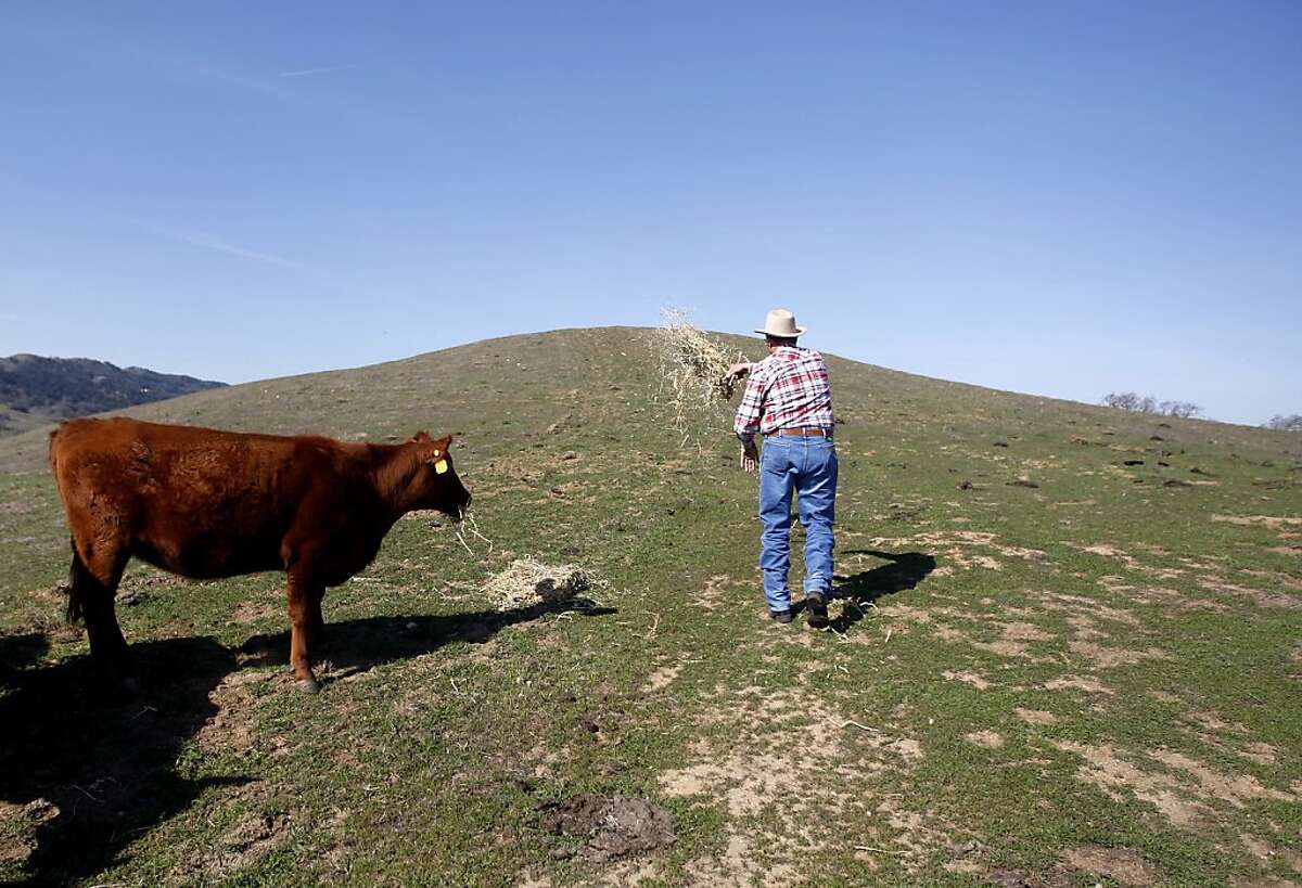 Cattle ranchers find themselves alone on the range