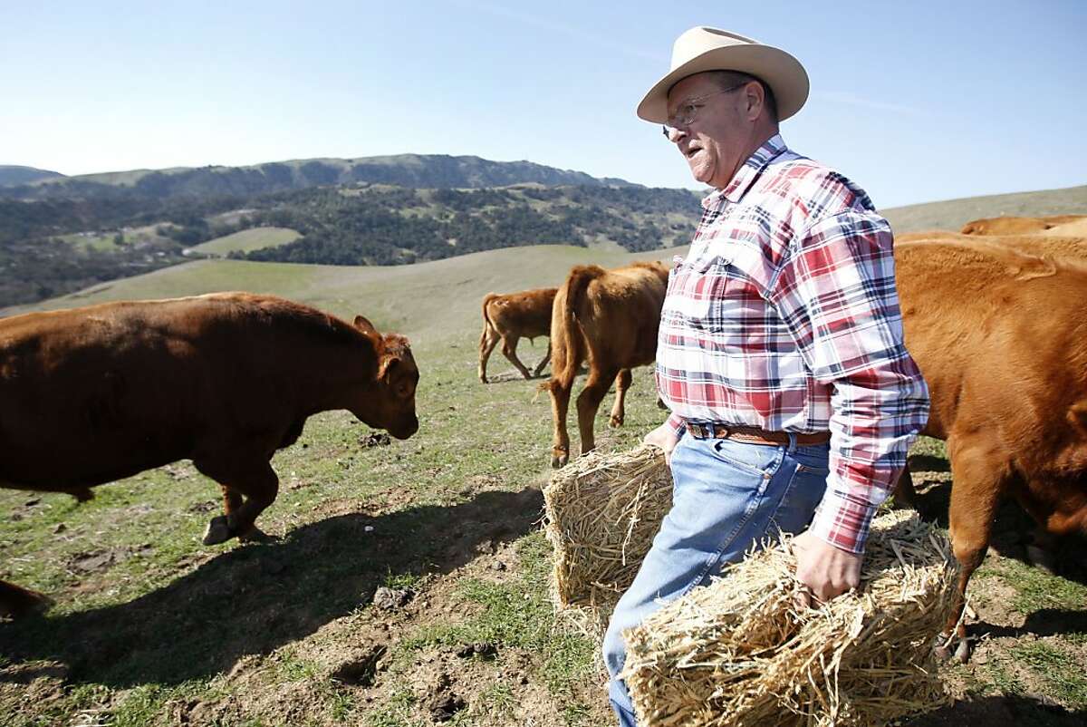 cattle-ranchers-find-themselves-alone-on-the-range