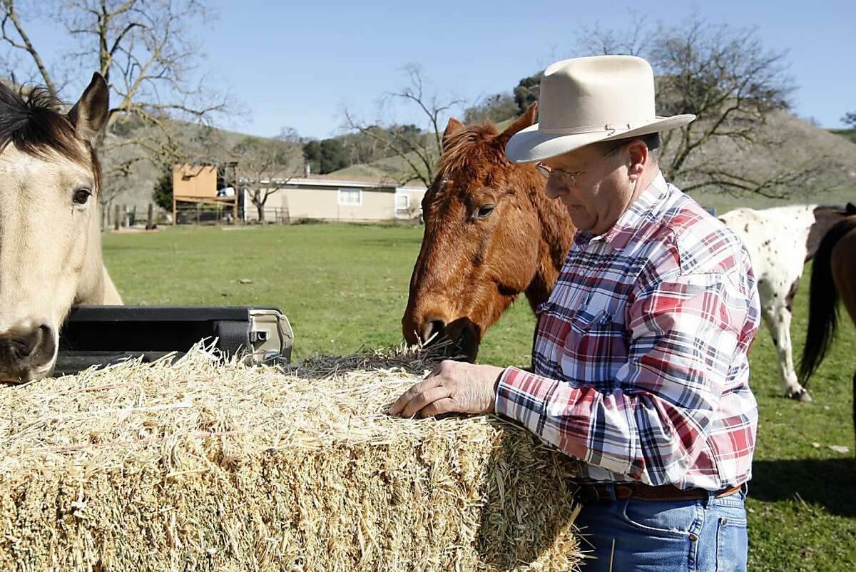 cattle-ranchers-find-themselves-alone-on-the-range