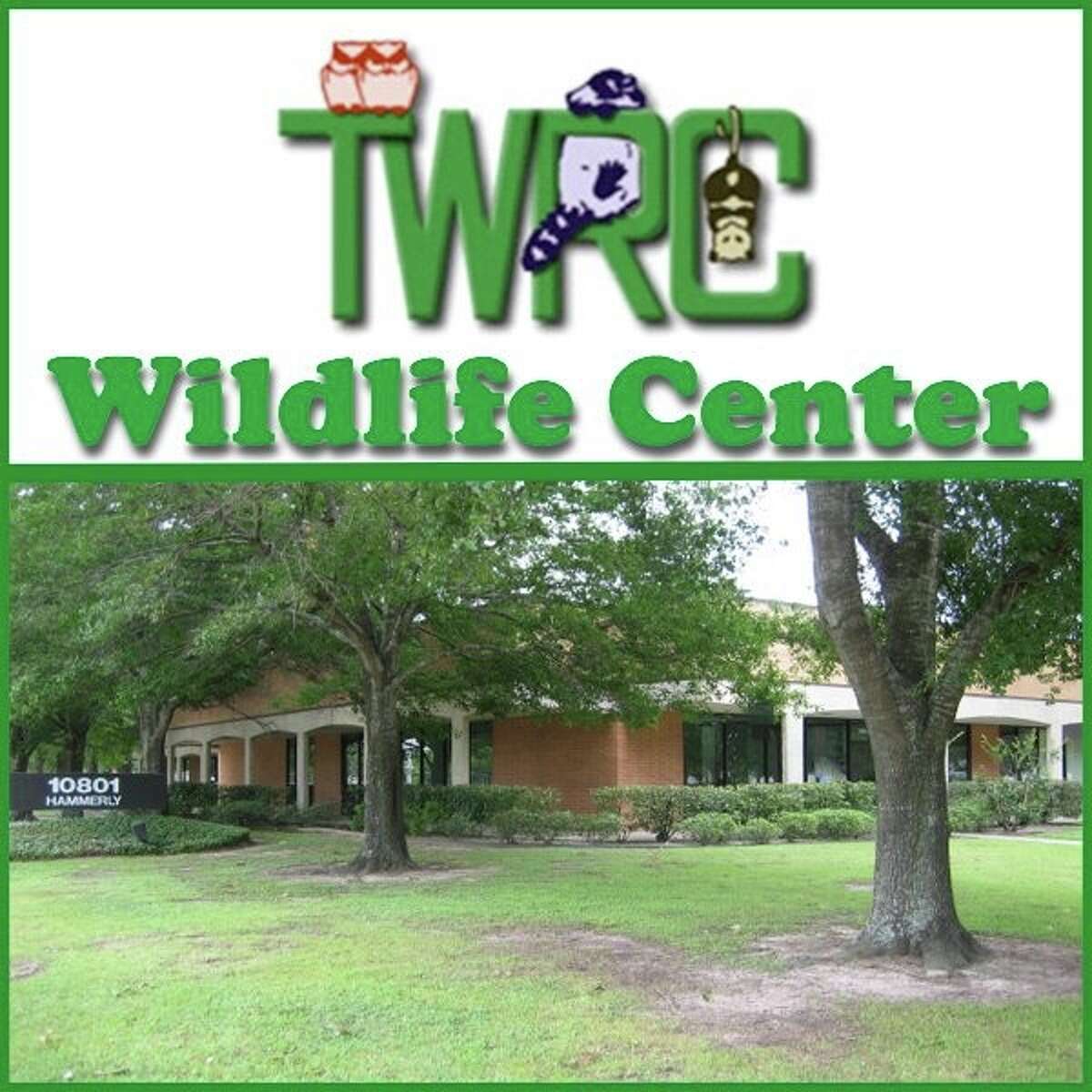 Texas Wildlife Rehabilitation Coalition seeks volunteers