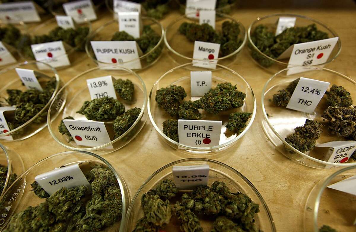 Several of the varieties of marijuana available at the Harborside Health Center in Oakland, Calif., on Tuesday Apr. 20, 2010. The company is dispensary of medical marijuana.