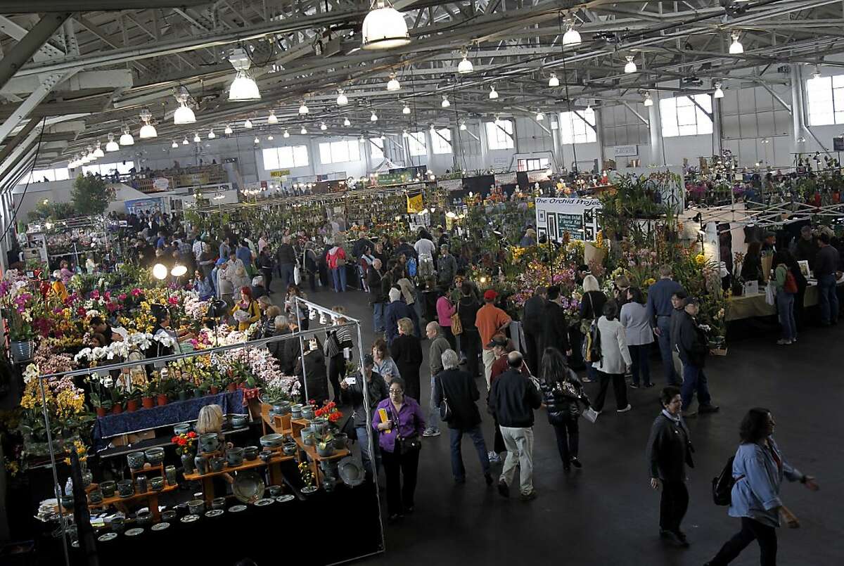 Orchid obsession in full bloom at S.F. exposition