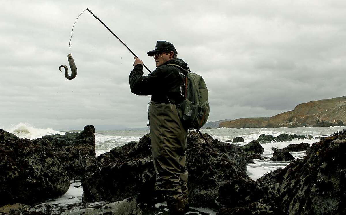 Monkeyface eel becoming a star on dinner platters image