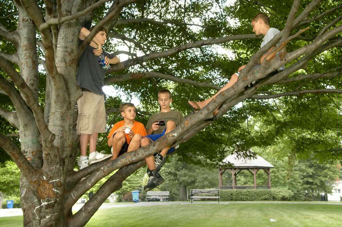 Kids hang out in a tree at Ballard Park in Ridgefield August 18, 2009 Left to right, Richard Soyak, 15 of New Milford, brothers Tim,10 and Johnny Dumke, 14 and Kevin Barird, 14, all of Ridgefield.