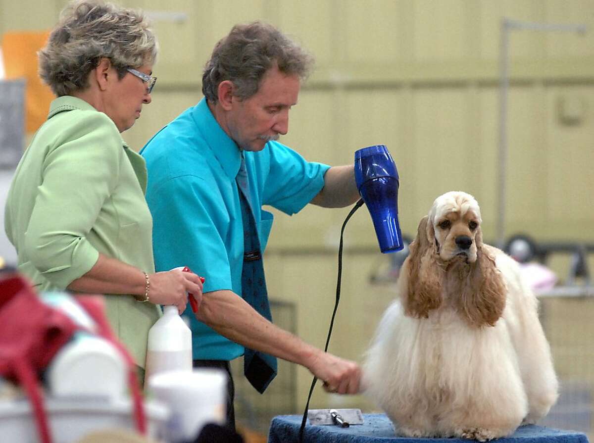 SFGate Day in Pictures