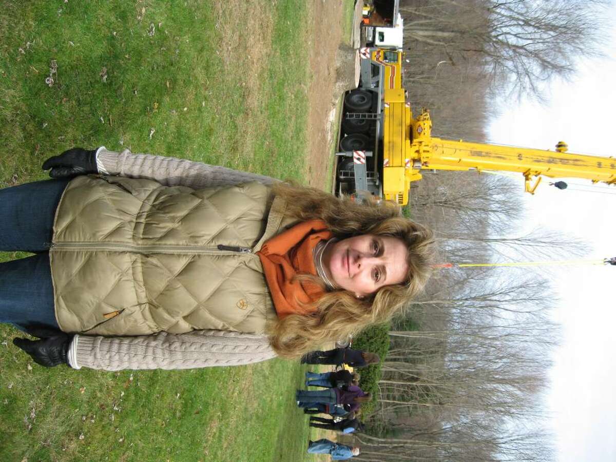 Maria Corti sent in a picture of the huge Norway spruce tree in her Easton yard to in hopes they would choose it to be the 2009 Rockerfeller Center Chrsitmas Tree in New York City.