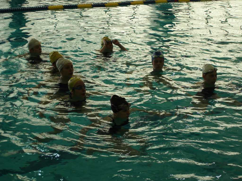 Synchronized swimmers combine athleticism with grace