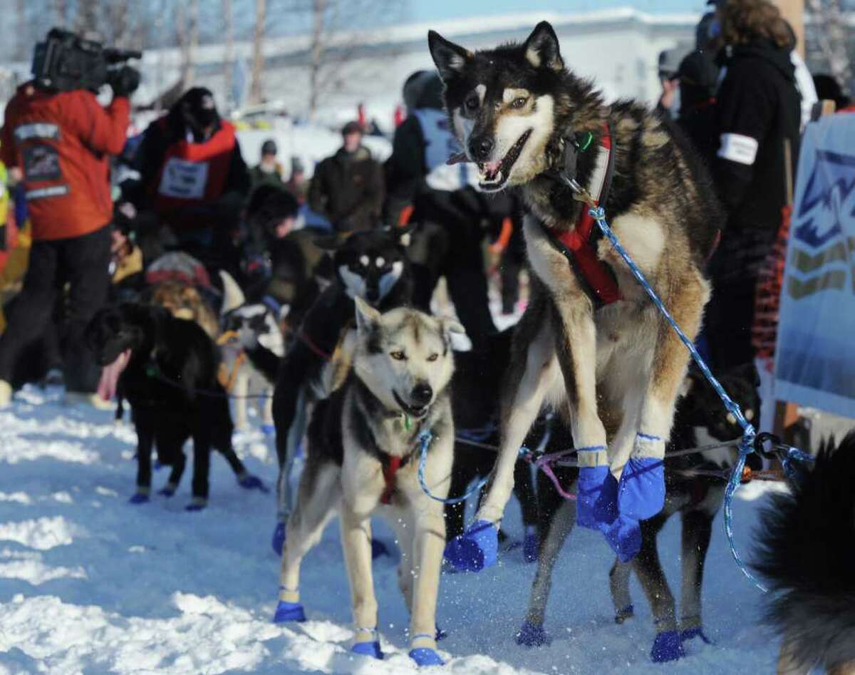 2012 Iditarod