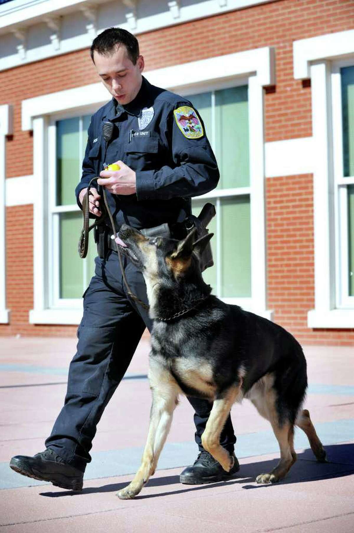 Danbury Police Officer Travis Kupchok takes Koda, a department police dog, and his canine partner, through some obedience routines at police headquarters, Tuesday, March 6, 2012.
