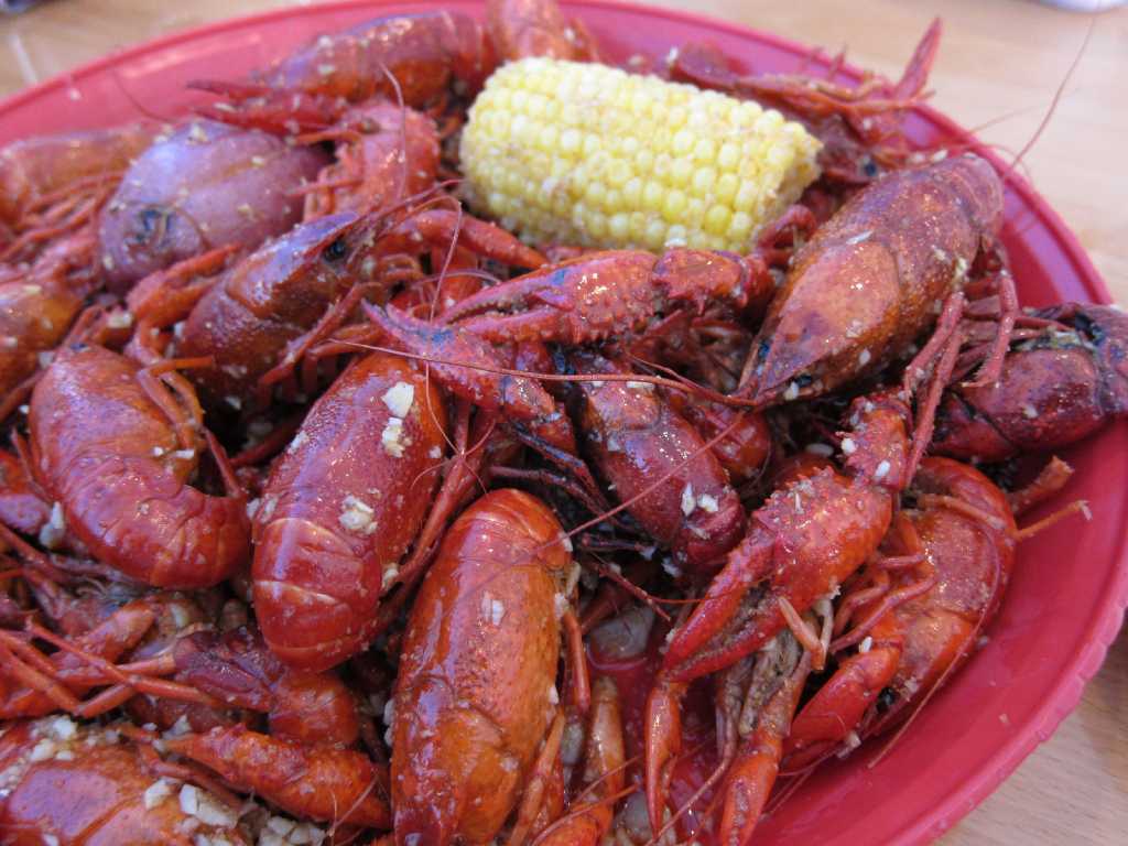 Astros Crawfish Boil: March 10, 2023 - The Crawfish Boxes