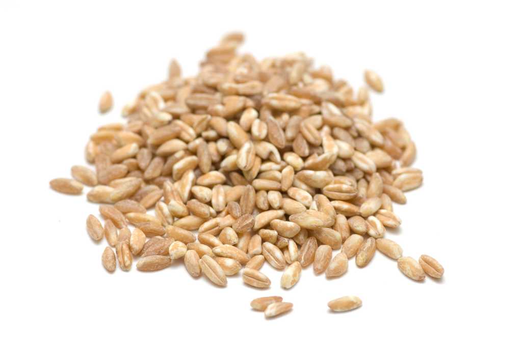Grains newly popular for taste and health