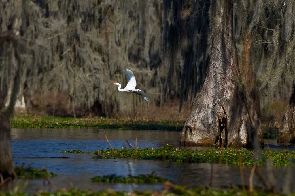 Weekend escape to Louisiana