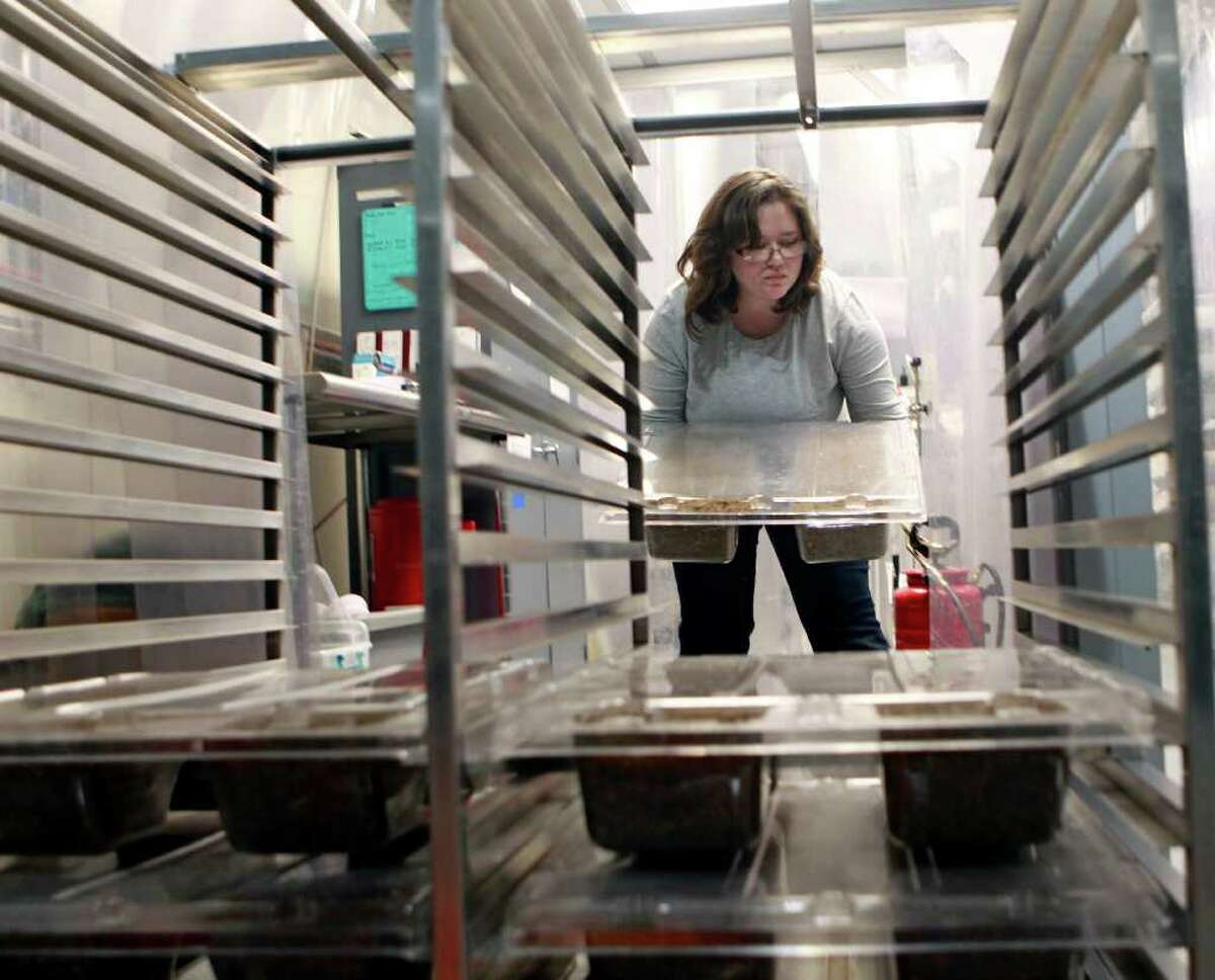 Katie Rittweger loads trays of packaged mycelium and other raw materials on a rack at Ecovative Design in Green Island, N.Y., on Thursday, Feb. 9, 2012. The materials in the trays will age before being used for packaging materials.