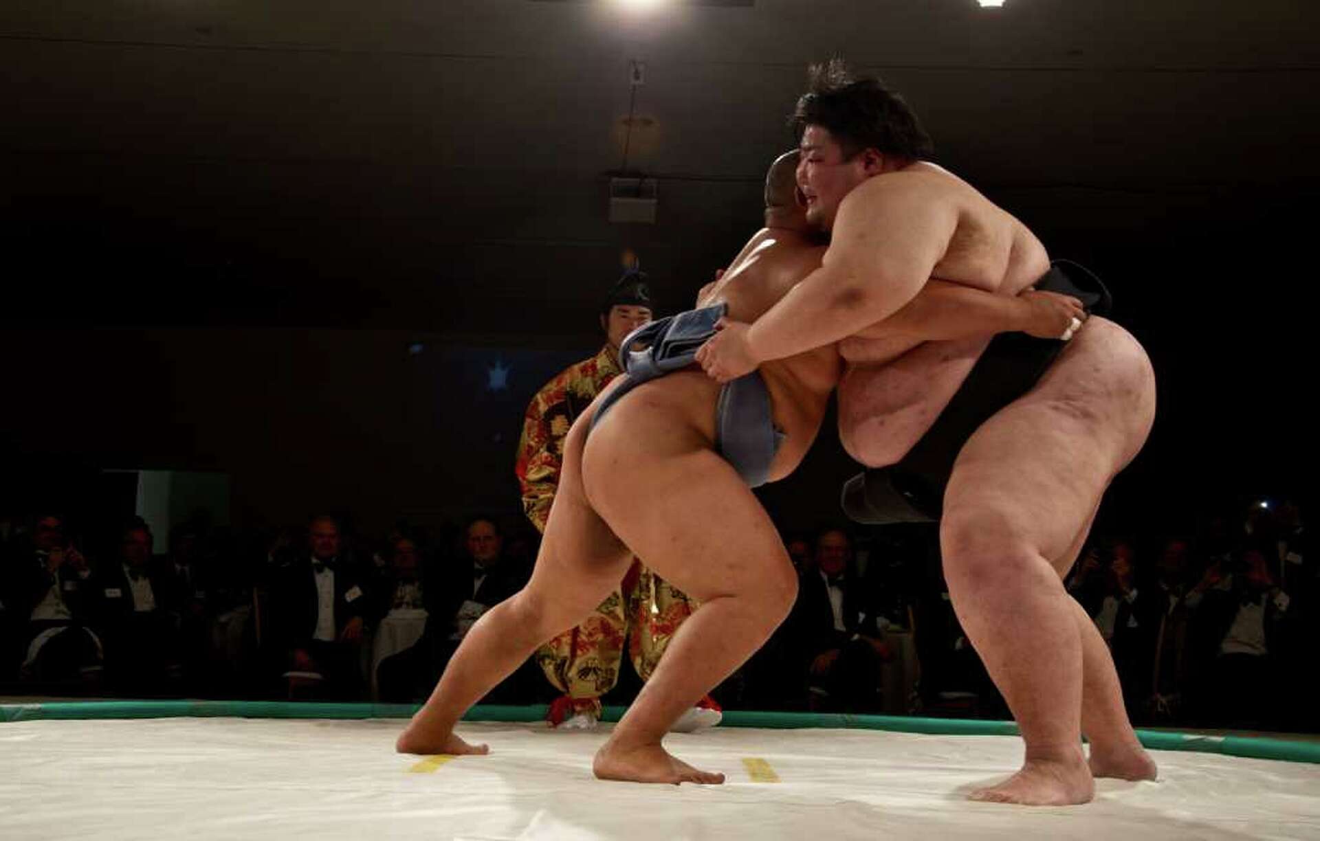 Sumo wrestlers duke it out for the Menil