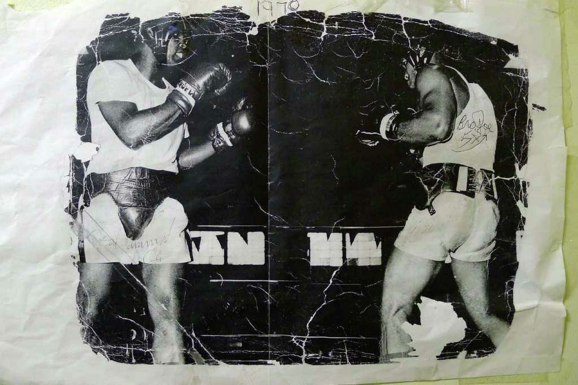 Buy colorful dog art Outlet, image size:1920x1281