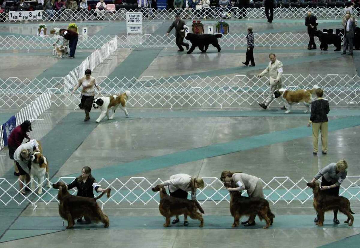 Seattle Kennel Club Dog Show