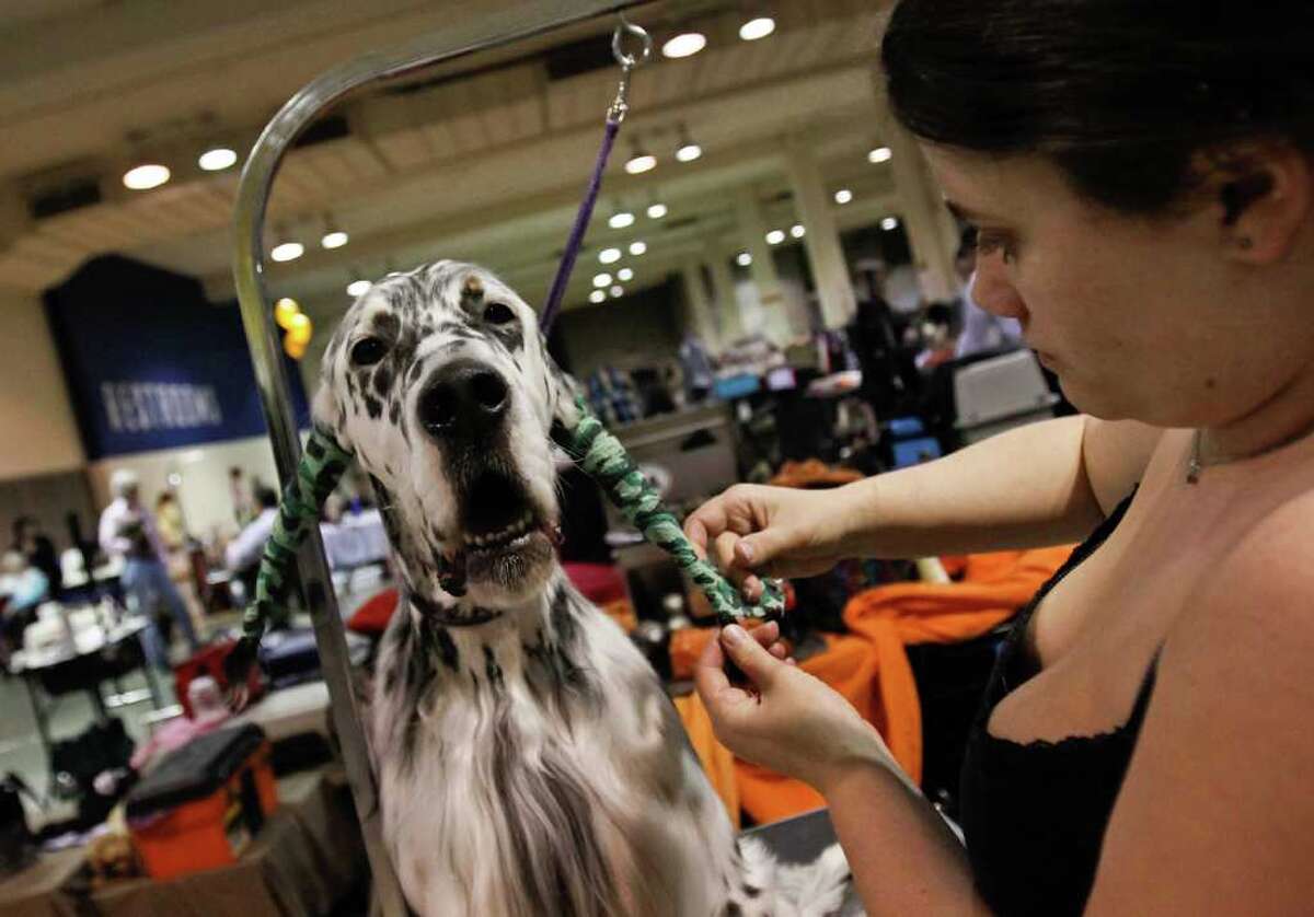 Seattle Kennel Club Dog Show