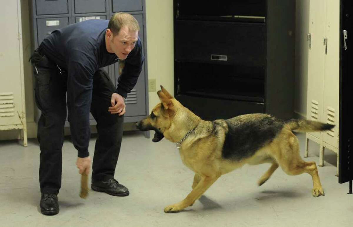 Saratoga County Sheriff's deputy Kevin Lancto works with his partner "Nio" during K-9 training at the New York State Police K-9 Training facility in Cooperstown, N.Y. March 7, 2012. ( Skip Dickstein / Times Union)