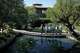 Tourists visit the Japanese Tea Garden on Thursday, Oct. 20, 2011.