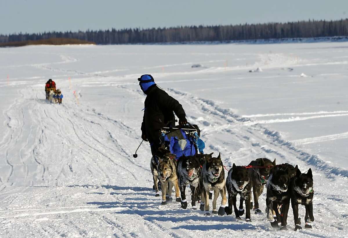 Iditarod Trail Sled Dog Race