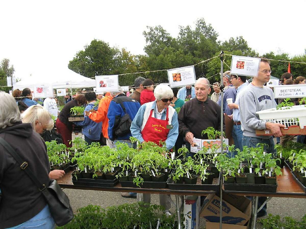2012 Master Gardener spring plant sales