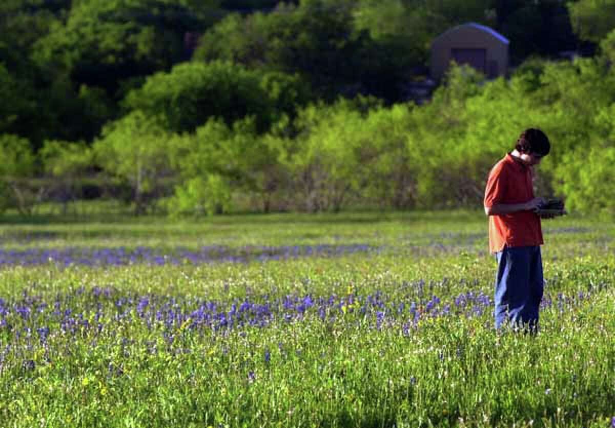 Houston suburbs dominate 'Best Places to Live in Texas' list