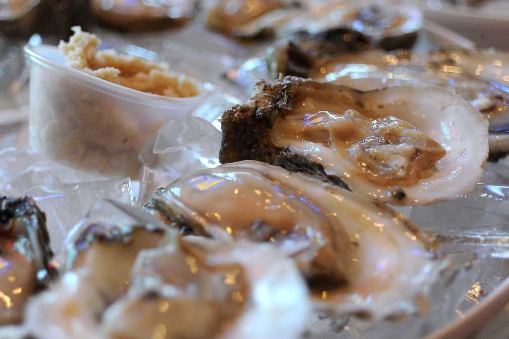 Texas oyster forecast improves