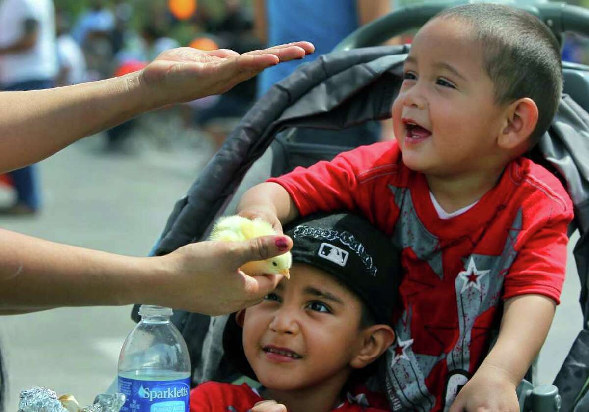 Angel Galindo-Lopez,4, looks at a chick while his brother Juan Galindo Lopez,2, (top, right) interacts with his grandmother Juanita Lopez (left) during the second annual Spring Break at the Lake at Elmendorf Park Friday March 16, 2012. The event is hosted by district five city councilman David Medina, Jr. John Davenport/San Antonio Express-News