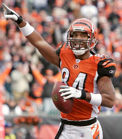 Cincinnati Bengals running back Rudi Johnson (32) runs for 10