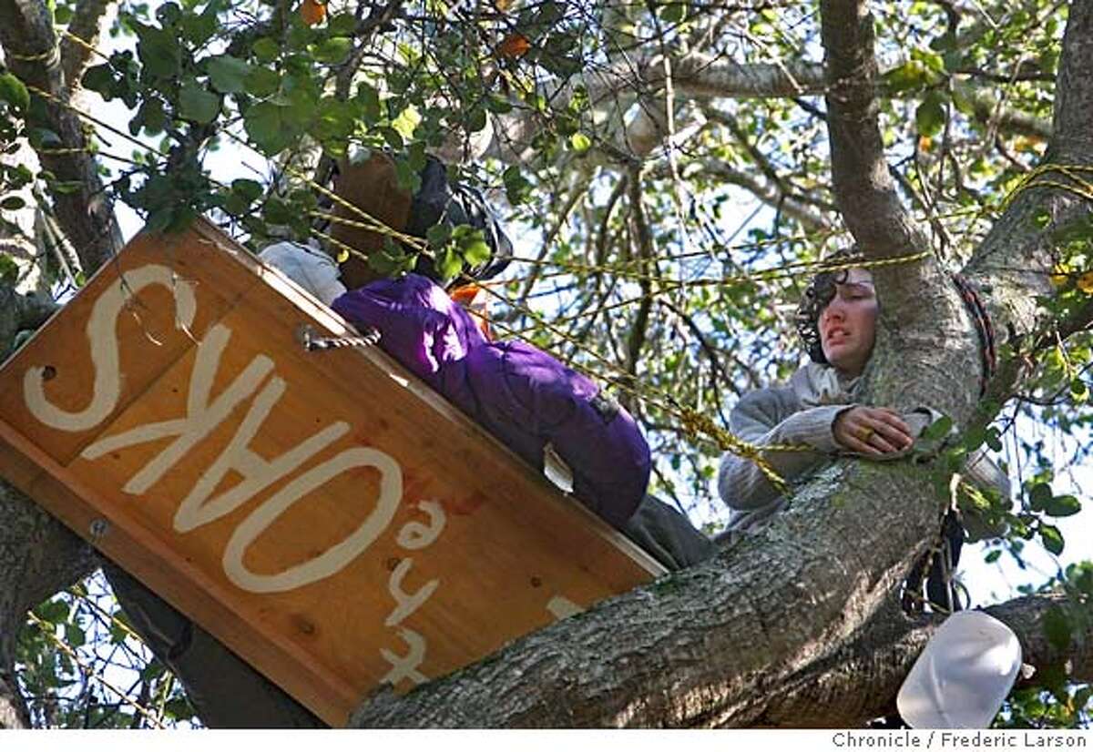 BERKELEY / The view is good and their cause is lofty / Save the Oaks activists are up in the