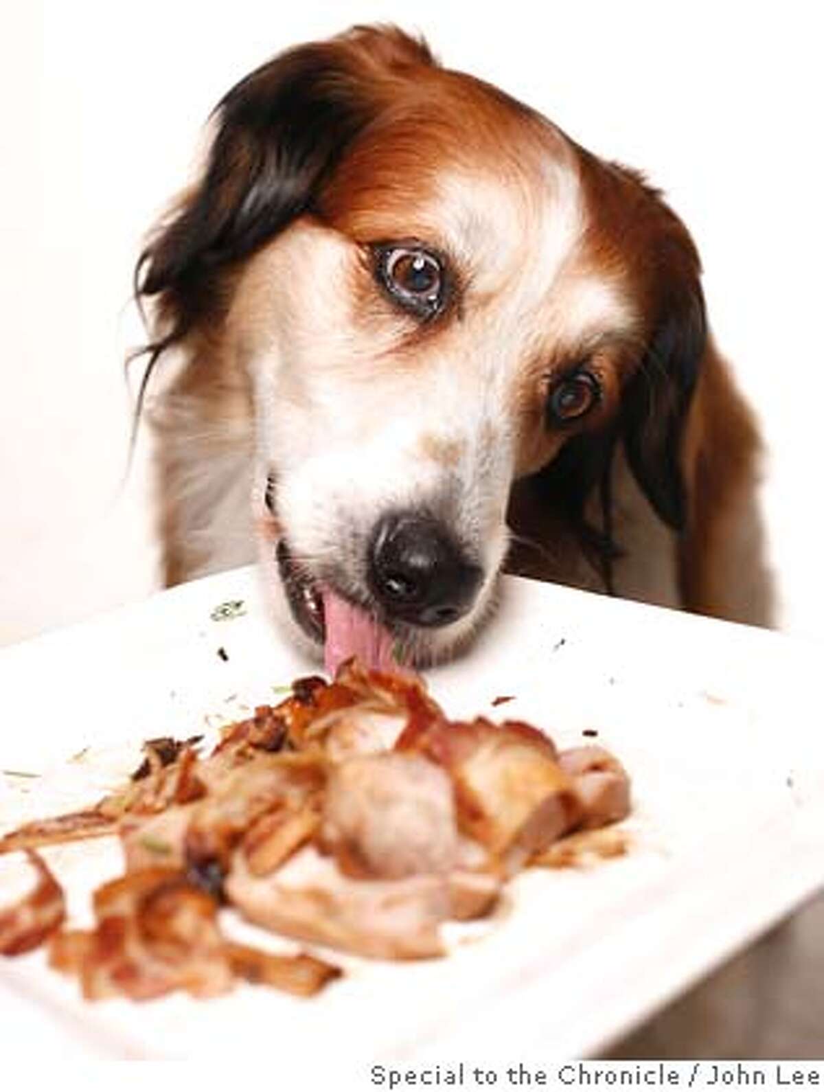 can you feed dogs cooked turkey breast