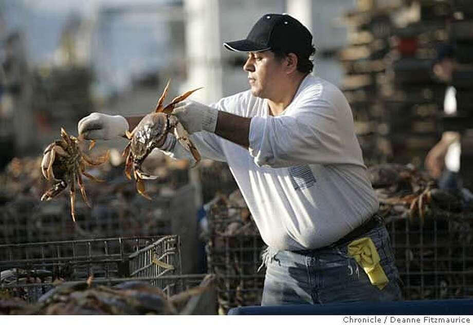 First crabs of season land in San Francisco SFGate