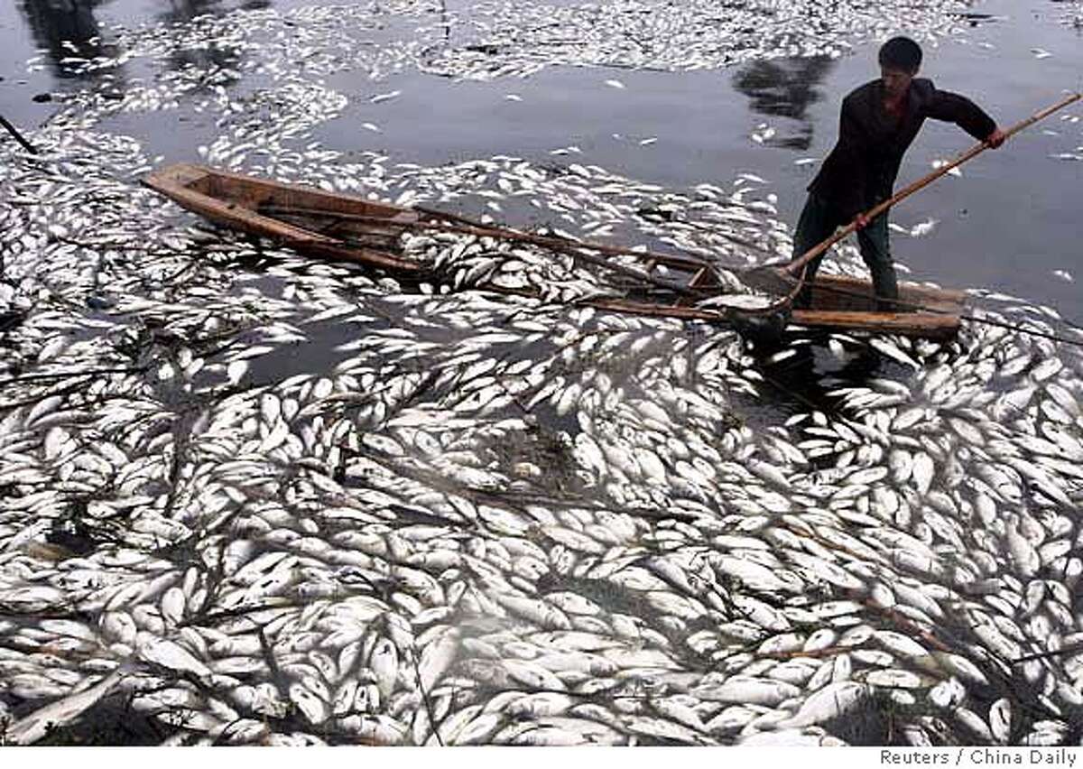 Fish population on the brink / Experts report downward spiral of marine