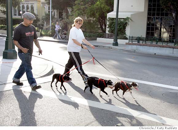 Taking dog for walk benefits both of you