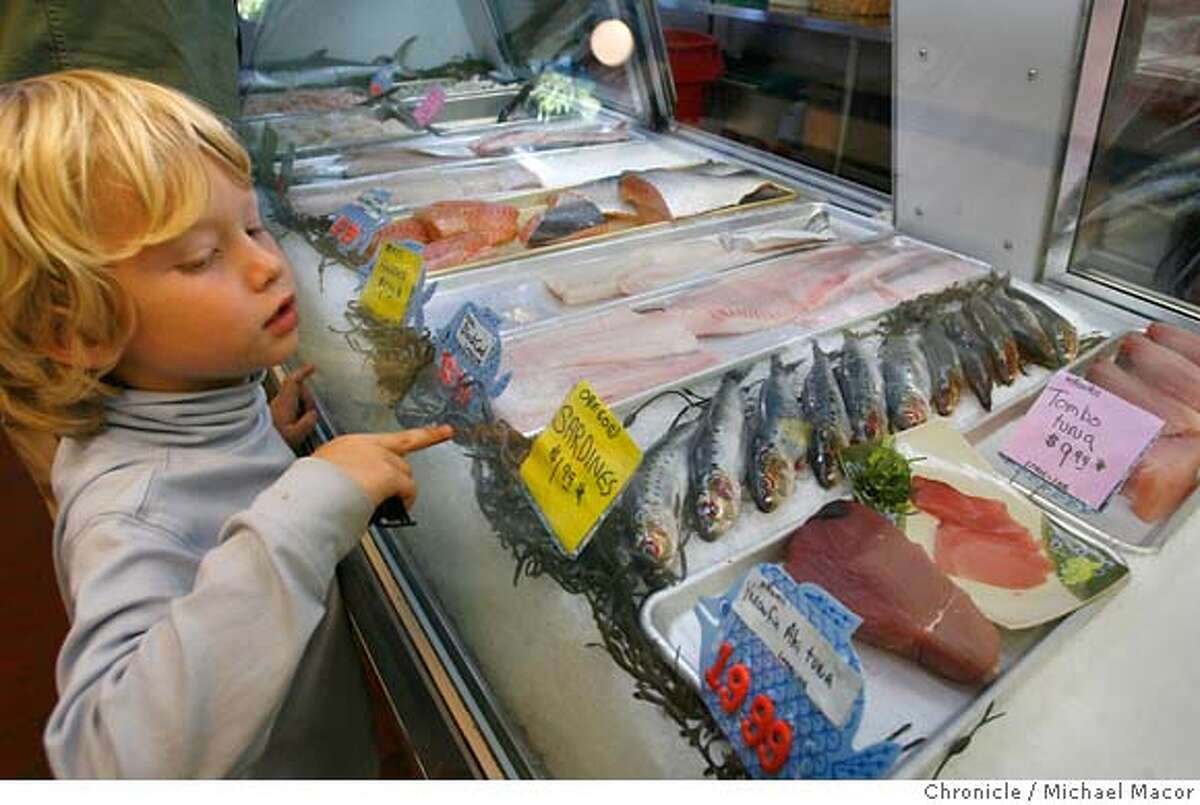 fish18_012_mac.jpg 4 year old Noah Green, of Berkeley, shops the fish market with his mother who is buying fish for tonight's dinner, Noah counts the Sardines as he waits for mom. A visit to Monterey Fish, a local fish market in Berkeley. There's so much contradictory information out there about which fish are safe to eat that some Bay Area doctors have given up and advised pregnant women to stay away from fish all together. That's the sort of confusion that a new government effort plans to fight. On Tuesday federal officials will release a report that's supposed to once and for all clear up confusion about what fish is safe to eat. Event in, Berkeley, Ca, on 10/17/06. Photo by: Michael Macor/ San Francisco Chronicle Mandatory credit for Photographer and San Francisco Chronicle / Magazines Out