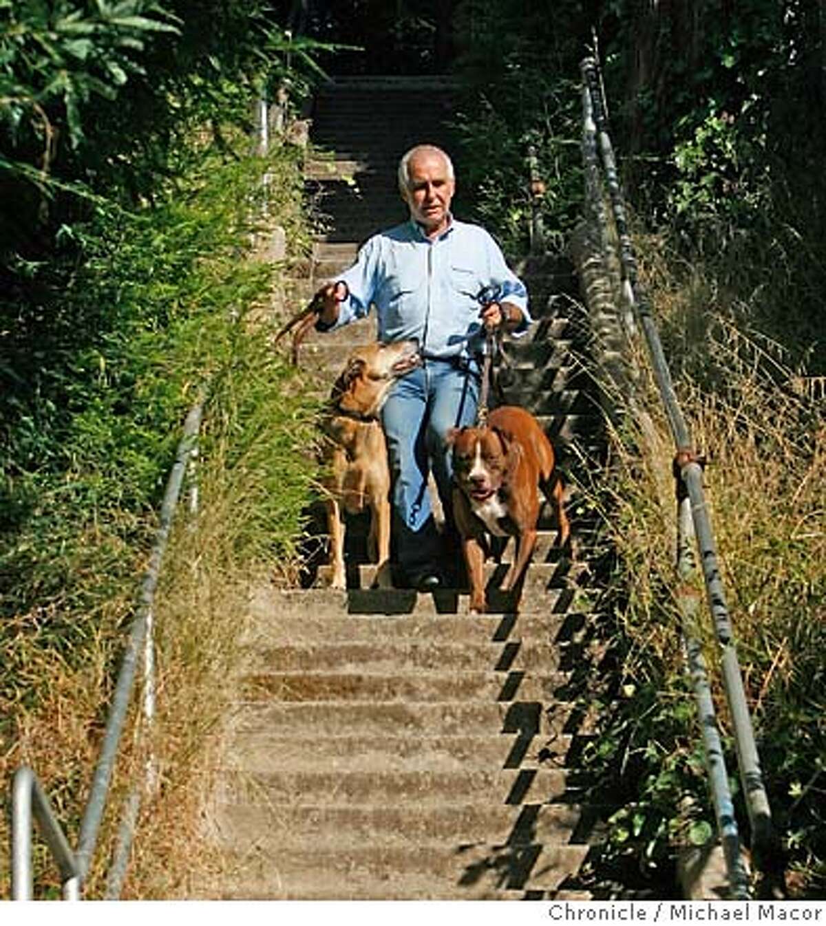 The Anti Cesar Millan Ian Dunbar s Been Succeeding For 25 Years With The Anti Cesar Millan Ian Dunbar s Been Succeeding For 25 Years With
