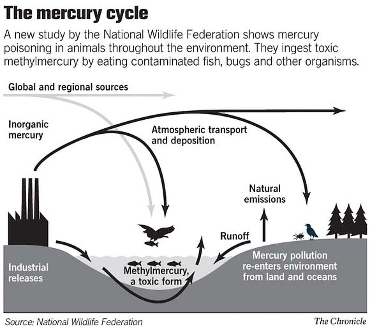 The Mercury Cycle. Chronicle Graphic