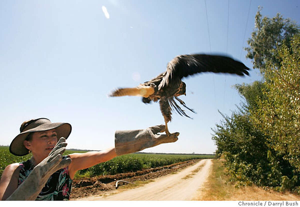 Sick San Joaquin River on brink of a new life / Historic settlement