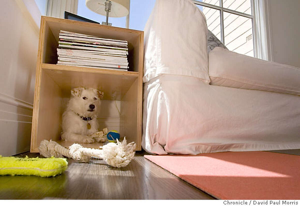 SAN FRANCISCO, CA - JULY 31 The hidden cubbie for Ace the wonder dog at the home of Jeff King on July 31, 2006 in San Francisco, California. (Photo by David Paul Morris/ The Chronicle) Ran on: 08-27-2006 Left: the hidden cubby for Ace the wonder dog at Jeff Kings house; below, a kitchen island recess with dog bowl in Malcolm Davis home.