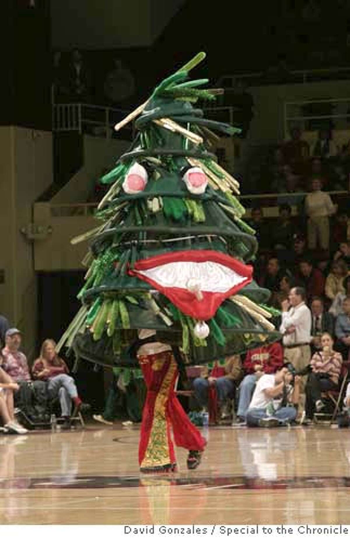 STANFORD_TREE_004.JPG The Stanford Tree during Stanford's 74-67 loss to Tennessee at Maples Pavilion in Stanford, CA. 4 December 2005: Photo by David Gonzales/Special to the Chronicle.