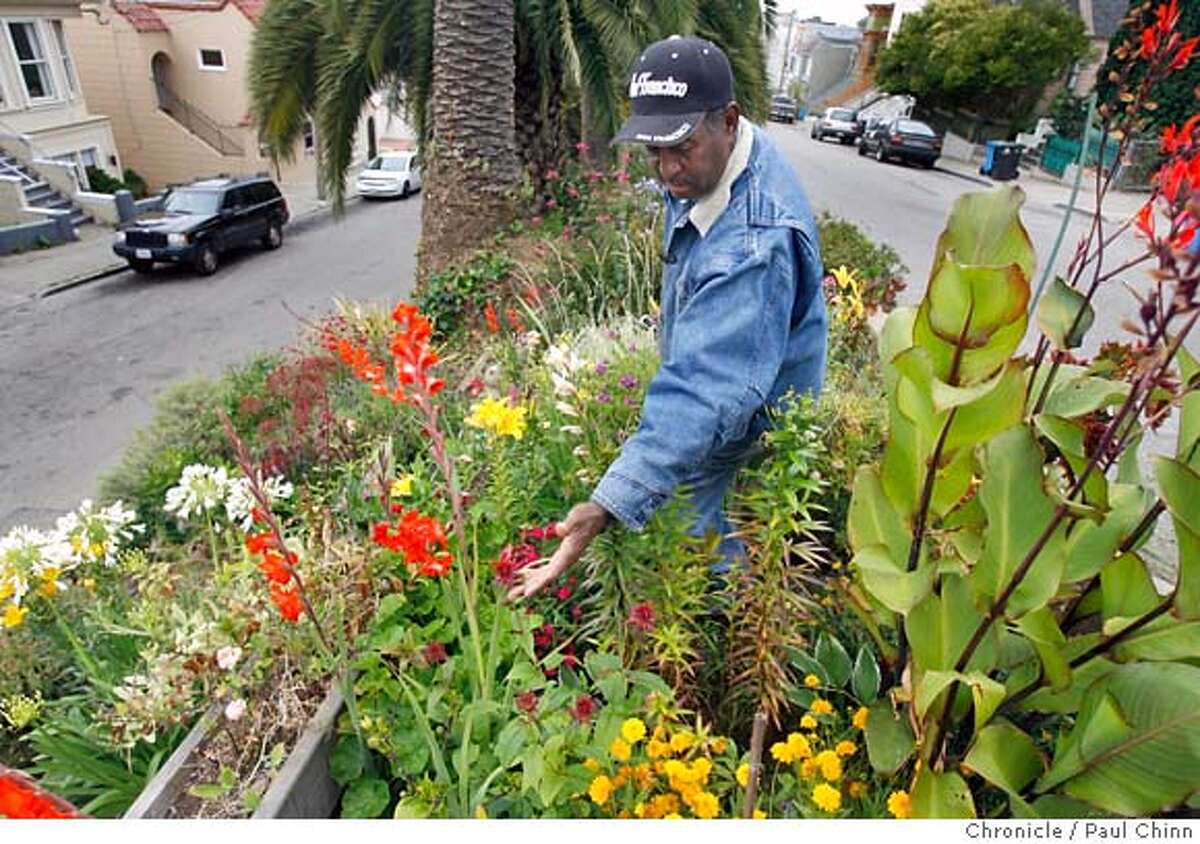 San Francisco Garden Transforms A Mean Street 4 Years After A Scrubby Median Patch Was Planted Crime Is Down And Neighbors Cultivate Friendship As Well As Flowers