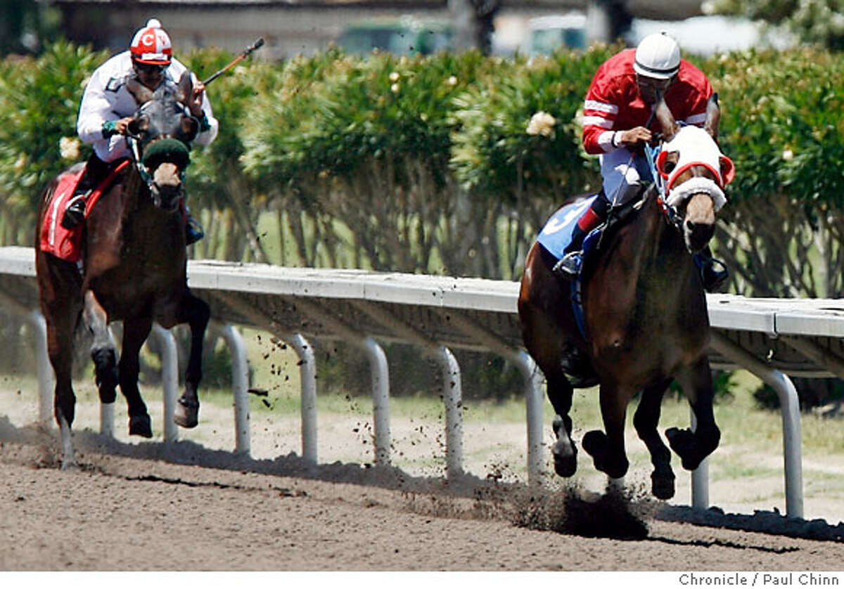 PLEASANTON / Idaho Gem gains fans in loss / Cloned mule still leads the
