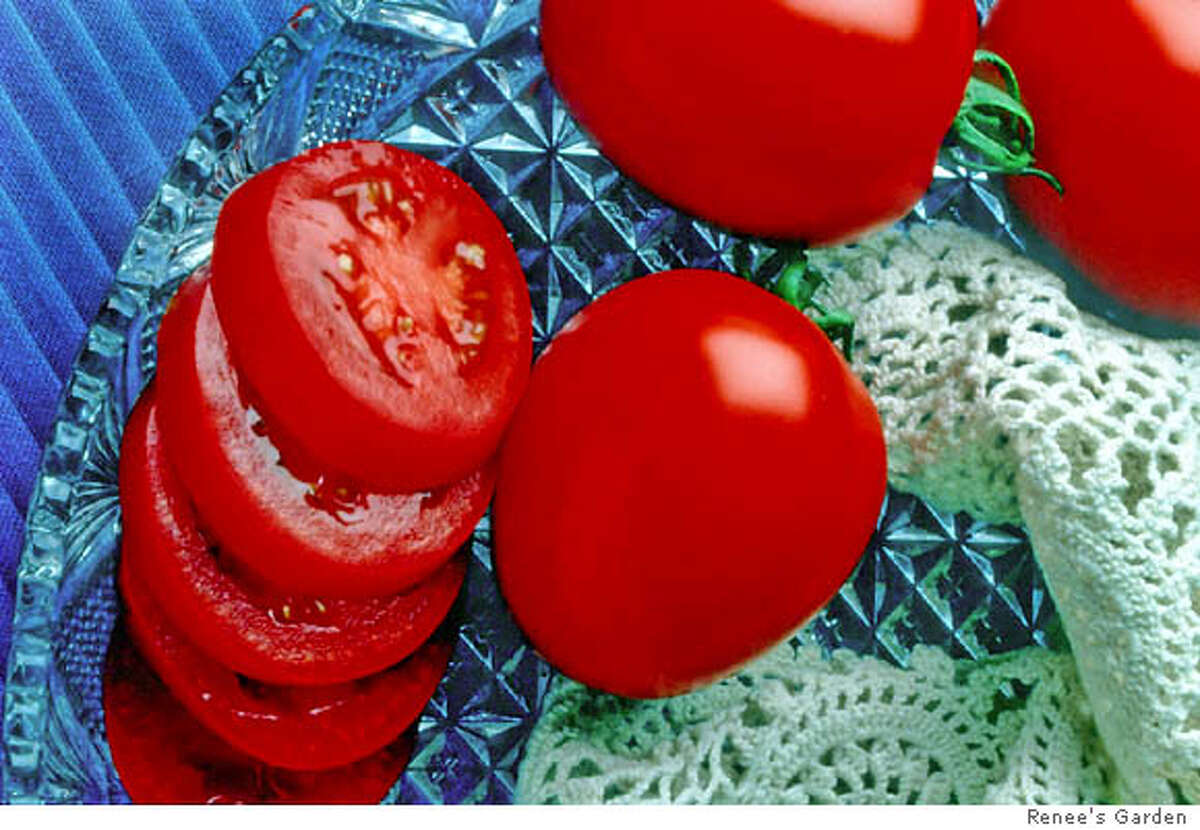 Exploring the Enchanting World of Tomato Varieties