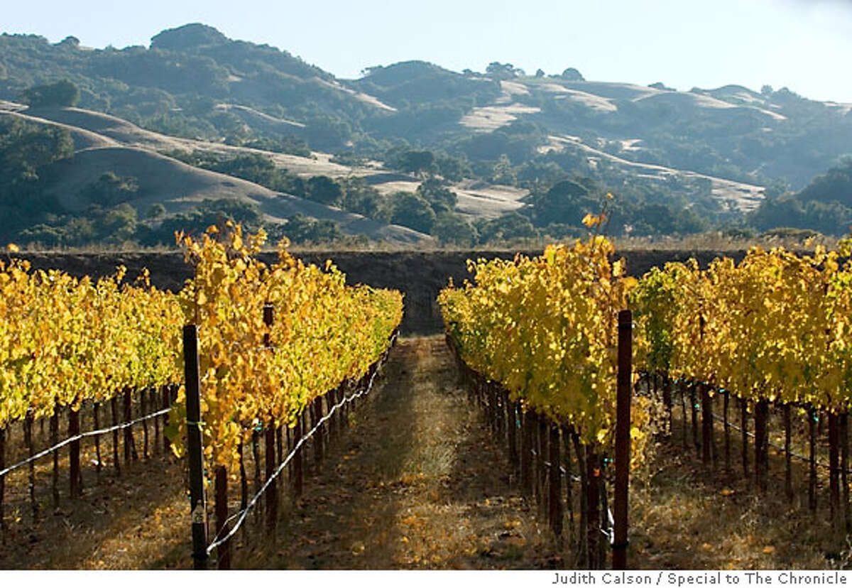 Anderson Valley's slow pace has enduring appeal