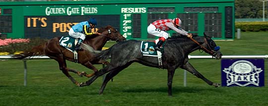 Charmo takes rich GGF race
